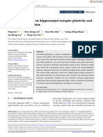 Eur J of Neuroscience - 2023 - Sun - A New Perspective On Hippocampal Synaptic Plasticity and Post Stroke Depression