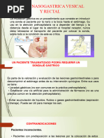 Diapositivas Vesical y Rectal