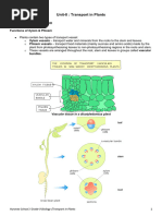 2024 Notes-Transport in Plants