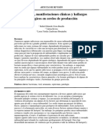 Condiciones, Manifestaciones Clínicas y Hallazgos Patológicos en Cerdos de Producción