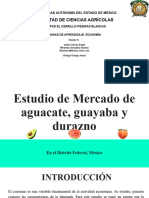 Estudio de Mercado Aguacate, Guayaba y Durazno