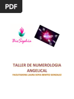 Manual Numerologia Online