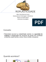 Aula 3 - Neuroplasticidade