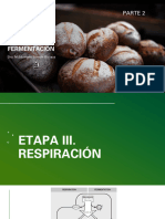 Respiracion-Fermentacion. Parte 2