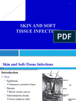 Skin and Soft Tissue Infection 2024