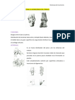 Biomecanica Del Tobillo Funciones