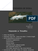 Polynemids of India