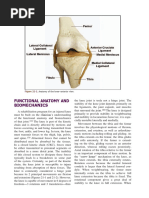 Functional Anatomy and Biomechanics - Knee