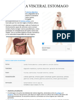 Anatomia Del Estomago