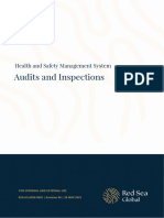 RSG HS ADM 0003 - Audits and Inspections