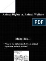 Animal Rights Vs Animal Welfare