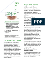 Plant Structure and Function