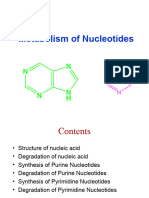 Purine and Pyrimidine Metabolism