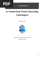 Jr. Penetration Tester Internship Task Report