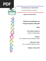 Obtencion de Quitinasas Con Hongos Del Genero Psylocibe