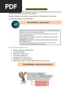 6 TBC Pulmonar