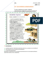 Proyecto Pueblos Originarios 3º B 2022