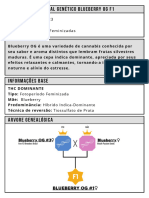 Blueberry Og Fem 1 Bio e Book