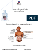 Sistema Digestorio