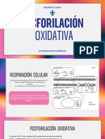 Fosforilación Oxidativa