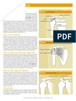 Rotator Cuff