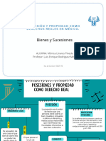 Mapa Conceptual - Posesión y Propiedad