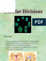 Cellular Divisions - Meiosis