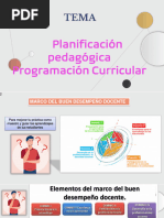 Planificacion Curricular Viii