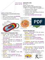 Cell Types Parts and Function Notes