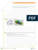 MOD1 Evaluations Formatives (Scoodle 1655cfed 847b 4092 A375 Aacd00cbc5cb)