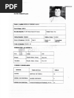 Curriculum Vitae (Nicolas Cespedes Rodas)