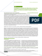 Identificación de Agentes Patógenos Causantes de Infecciones en Vías Urina-Rias en Mujeres Embarazadas Con Patrones de Resistencia Antimicrobiana