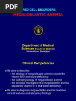 Megaloblastic Anemia: Red Cell Disorders