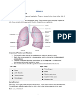 The Lungs GNM