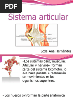 Anatomia Internet