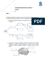 EjercitaciÃ N 1Â° SN