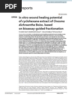 In Vitro Wound Healing Potential of Cyclohexane Extract of Onosma Dichroantha Boiss. Based On Bioassay-Guided Fractionation