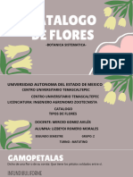 Catalogo de Flores