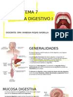 Tema 7 Sistema Digestivo I