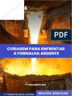 Subsídio - Coragem para Enfrentar A Fornalha Ardente 06 - 3Tm 2024 - Gratuito