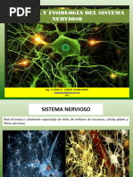 1 Anatomía y Fisiología Del Sistema Nervioso