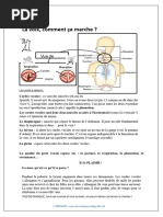 Cours Collège 6è-5è VOIX