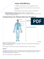 Sistema Nervoso Periférico