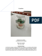 Trabajo Practico de Biologia 3 - 6 de Marco Siero