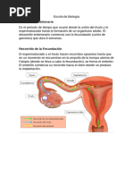 Escrito de Biología