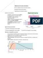 Mechanics of Muscle Contraction