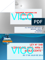 Ley 548 - Vico