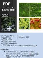 Chapter 7 Lower Plant2