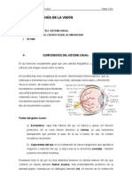 Tema Vi. Fisiología de La Visión