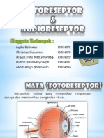 Fotoreseptor & Audioreseptor